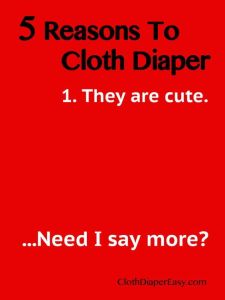 88d56ccf101c6a48f0193536c5f830f5--humor-quotes-cloth-diapers